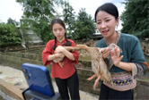 贵州三穗：促进传统麻鸭产业提质增效