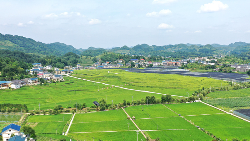 在希望的田野上丨航拍贵州花茂村 乡村振兴绘新卷