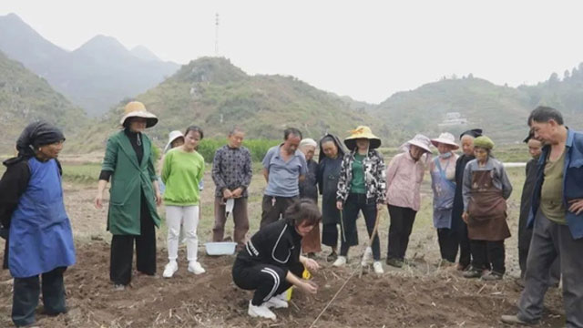 杨艳：在幸福的田野上播撒科技的种子