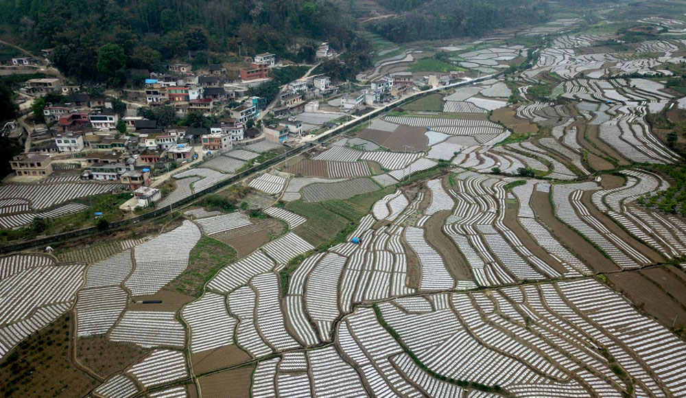 关岭县断桥镇蔬菜基地