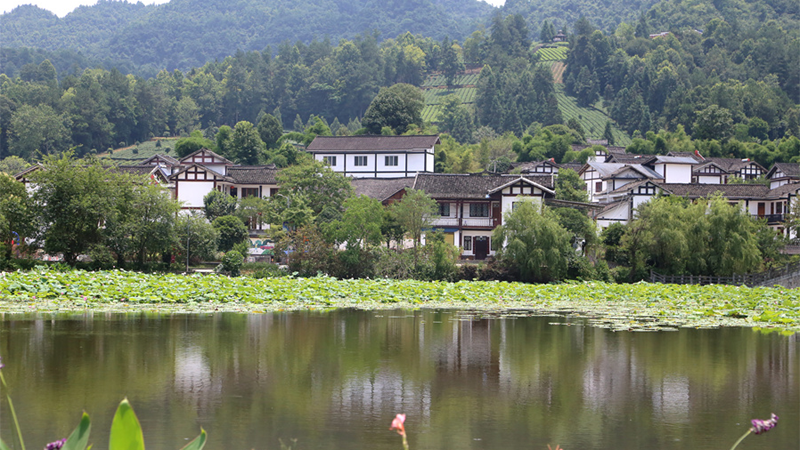 在希望的田野上｜貴州湄潭龍鳳村 美麗鄉村有“顏值”有“氣質”