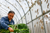 黔東南：特色産業賦能鄉村振興