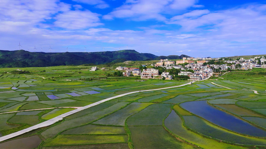 贵阳花溪高坡：田园风光正可人