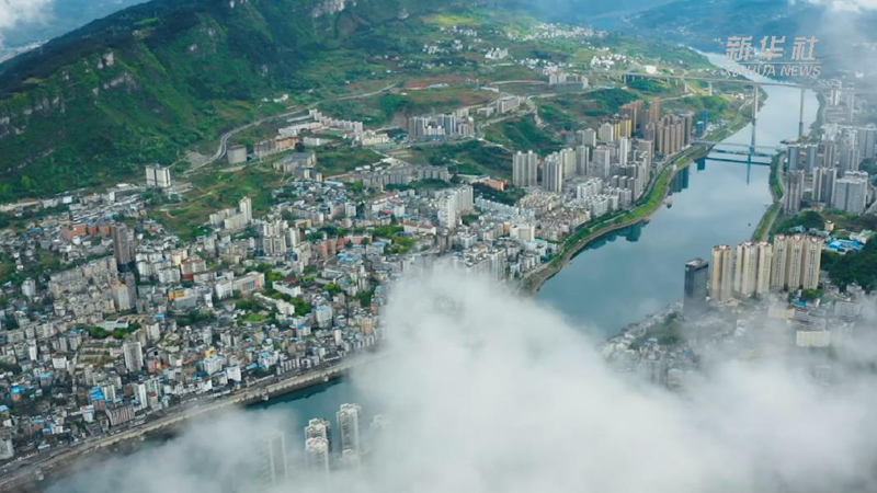 微纪录片丨贵州思南生态茶 绿了山川富了民