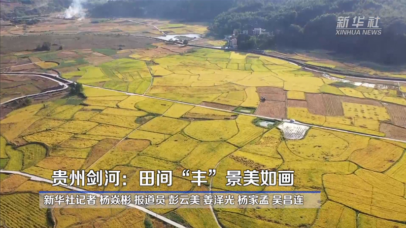 贵州剑河：田间“丰”景美如画