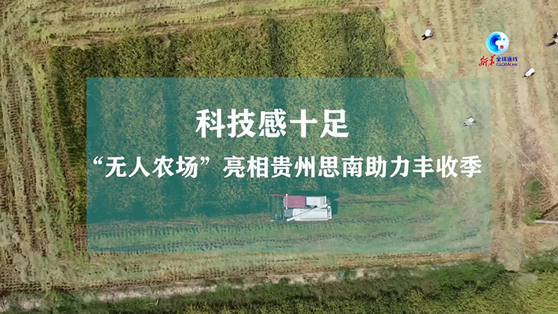 全球连线｜科技感十足！“无人农场”亮相贵州思南助力丰收季