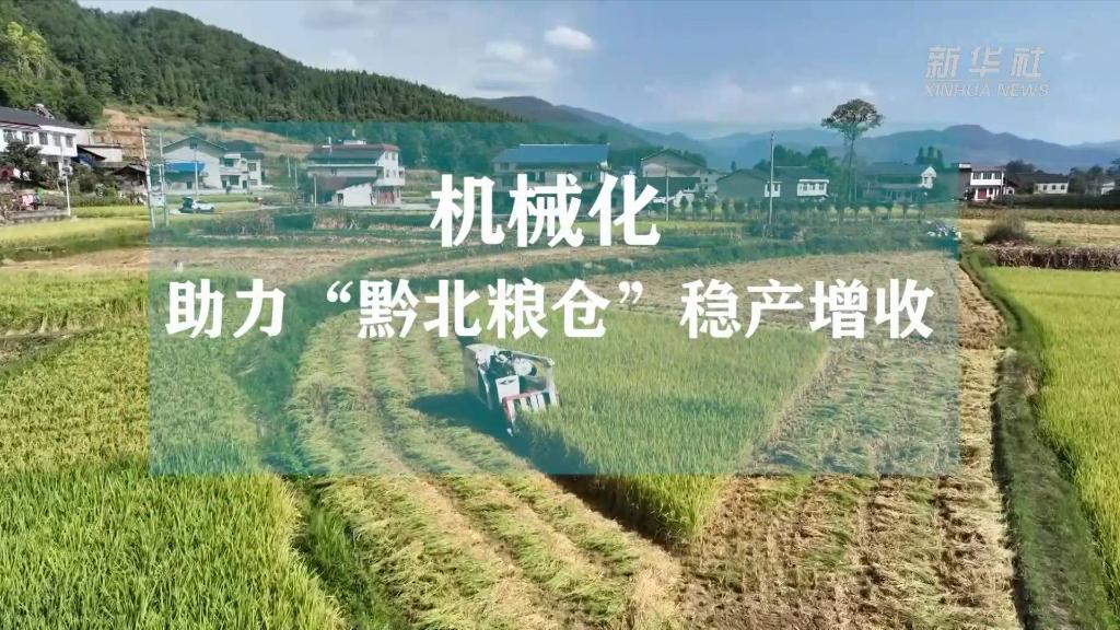 新华全媒+｜机械化助力“黔北粮仓”稳产增收