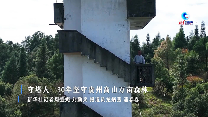 全球连线丨守塔人：30年坚守贵州高山万亩森林