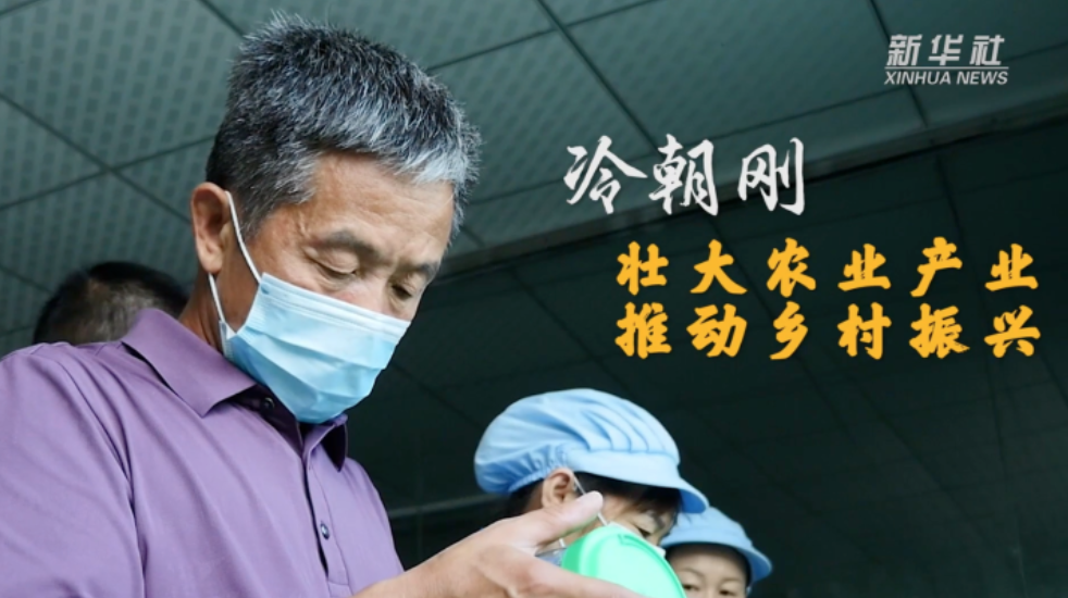 冷朝刚：壮大农业产业 推动乡村振兴