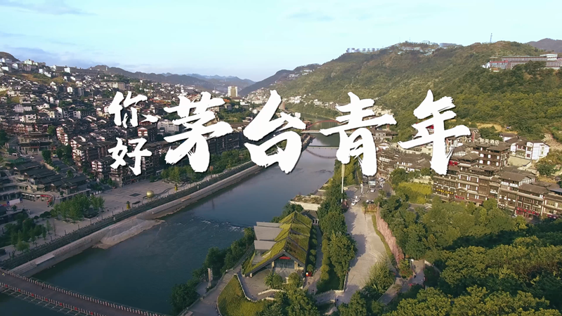 你好，茅台青年
