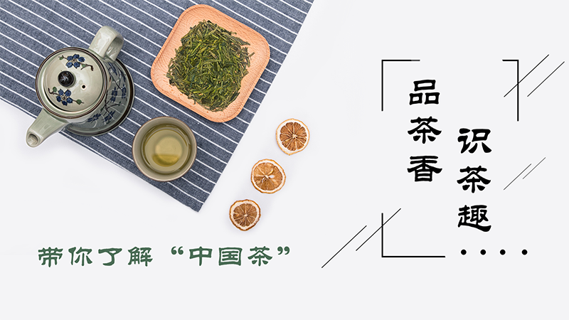 品茶香，识茶趣，带你了解“中国茶”