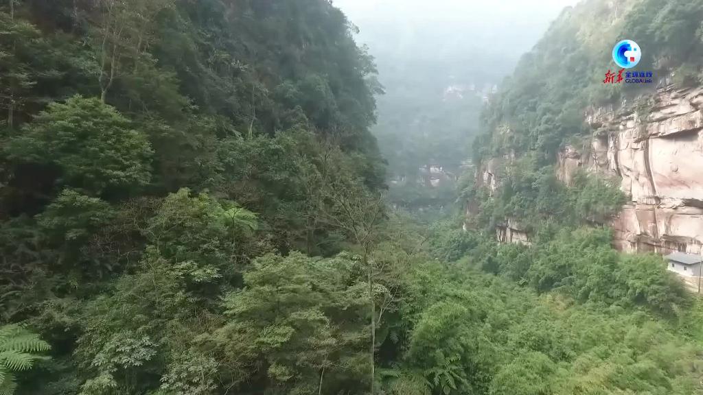 全球连线｜中国国家级自然保护区贵州习水保护区首次发现淡水海绵动物