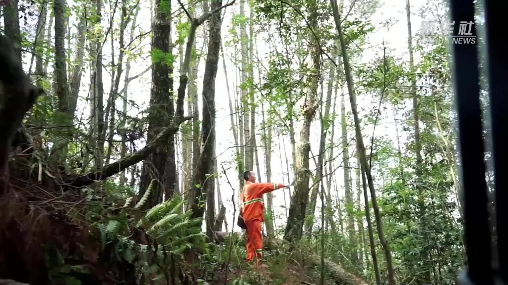 坚守十八载 深情予山林