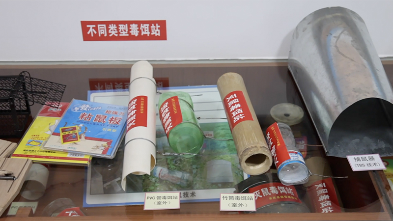 新华全媒+丨鼠口夺粮农民得利 “治鼠达人”与他的治鼠经