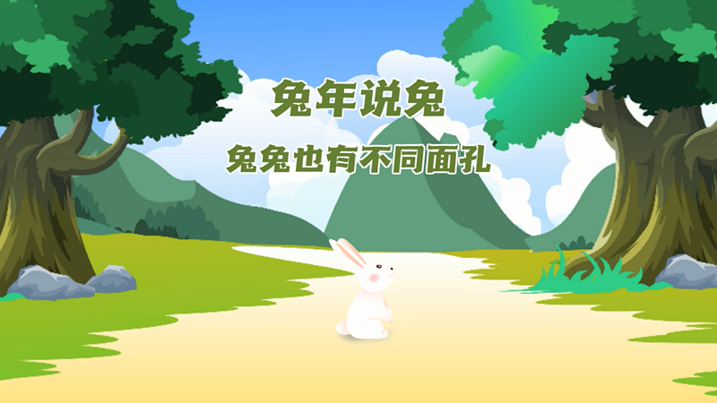 兔年说兔｜兔兔也有不同面孔