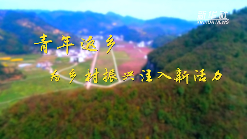 乡村振兴之路｜青年返乡，为乡村振兴注入新活力