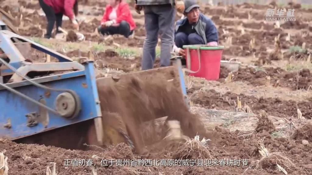 新华全媒+｜机械一体化助力黔西北高原春耕生产