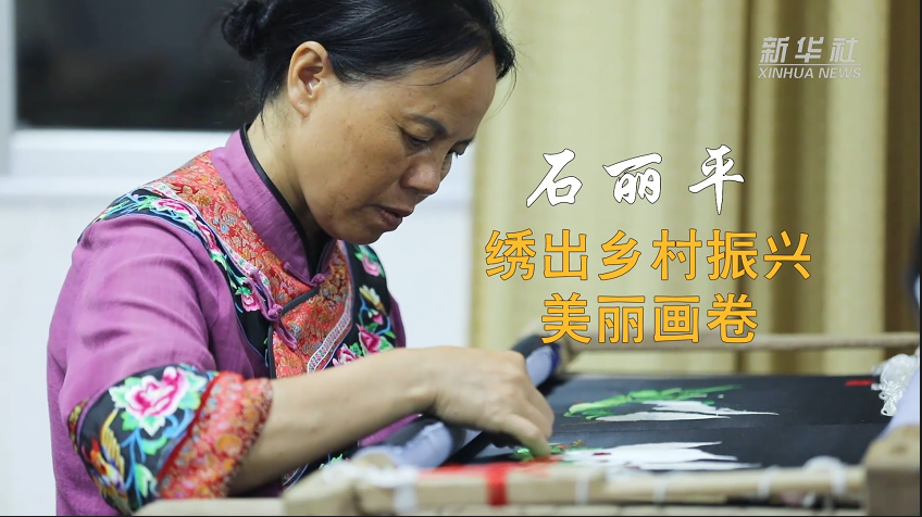 代表委员履职故事｜石丽平：绣出乡村振兴美丽画卷