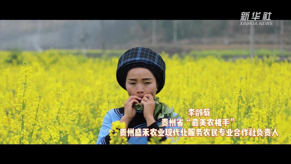Vlog｜贵州：“最美农机手”春耕展风采