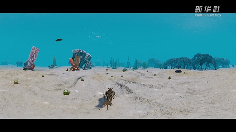山“海”无边 多角度带你来贵州看“海”
