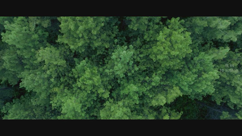 第54个世界地球日丨原创公益微视频《共生》