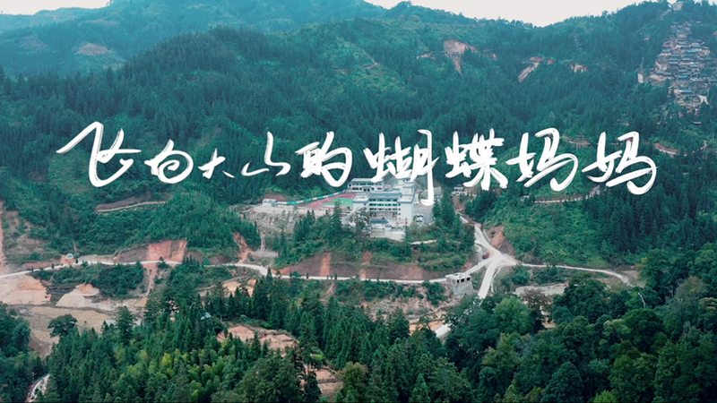 短视频丨飞向大山的蝴蝶妈妈