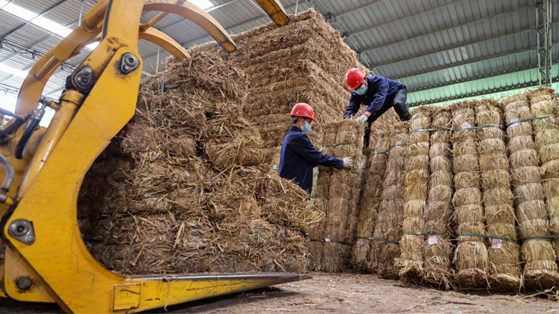 贵州遵义：秸秆加工 环保又增收