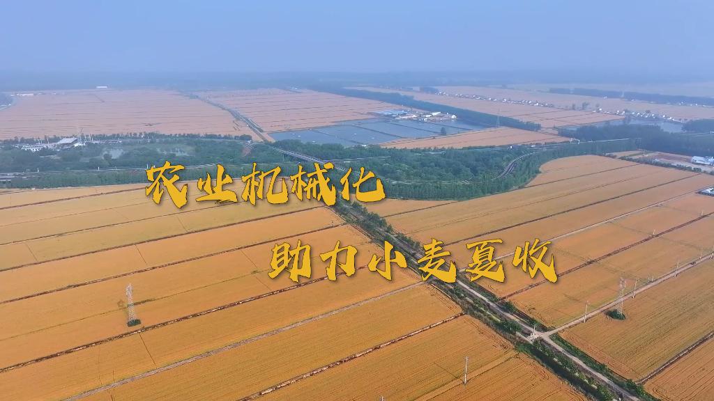 农业机械化助力小麦夏收