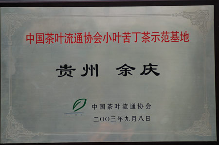 小叶苦丁茶生产基地图片